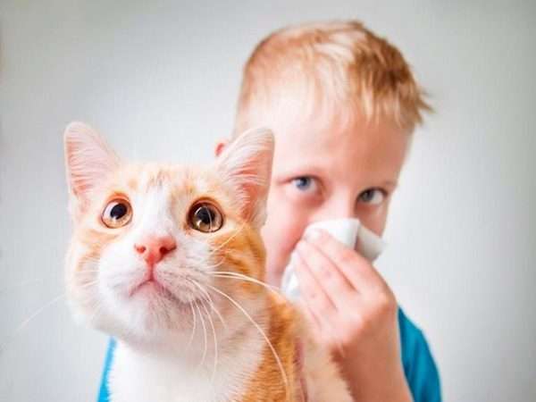 5 заповедей, которые облегчат жизнь, если ваш ребенок - аллергик