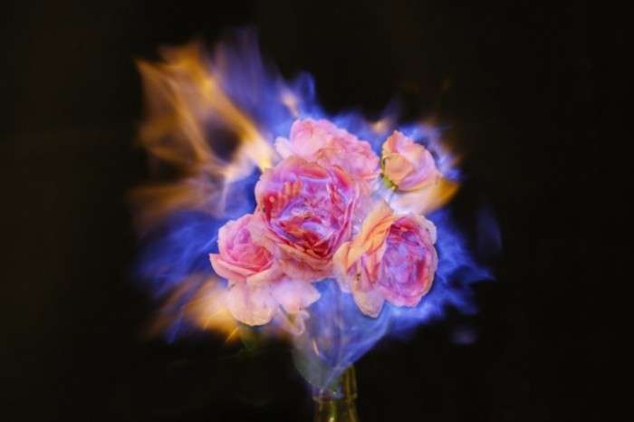 Окутанные пламенем цветы от Jiang Zhi