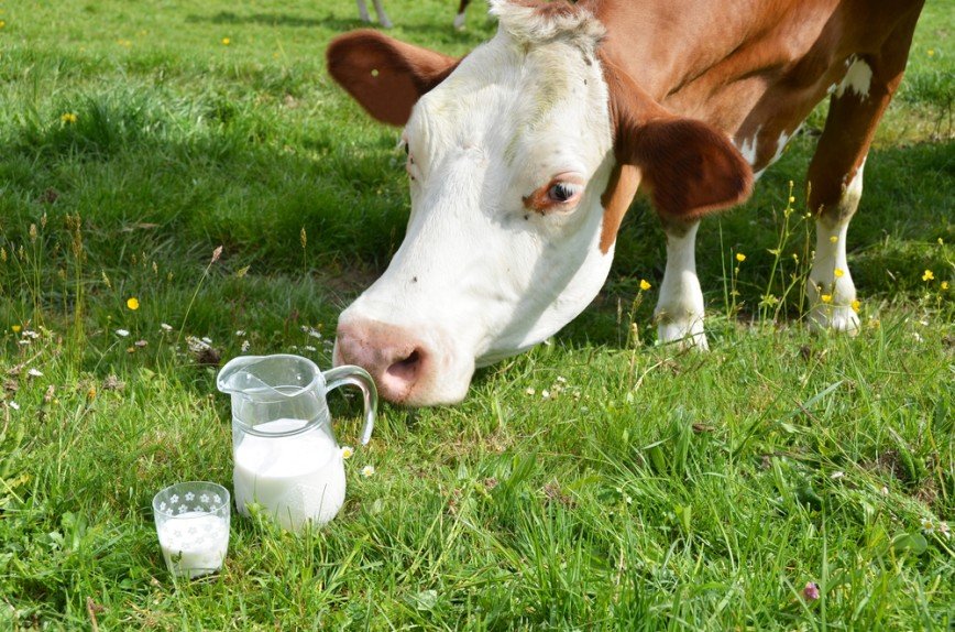 Пью и худею: как сбросить вес с помощью молока