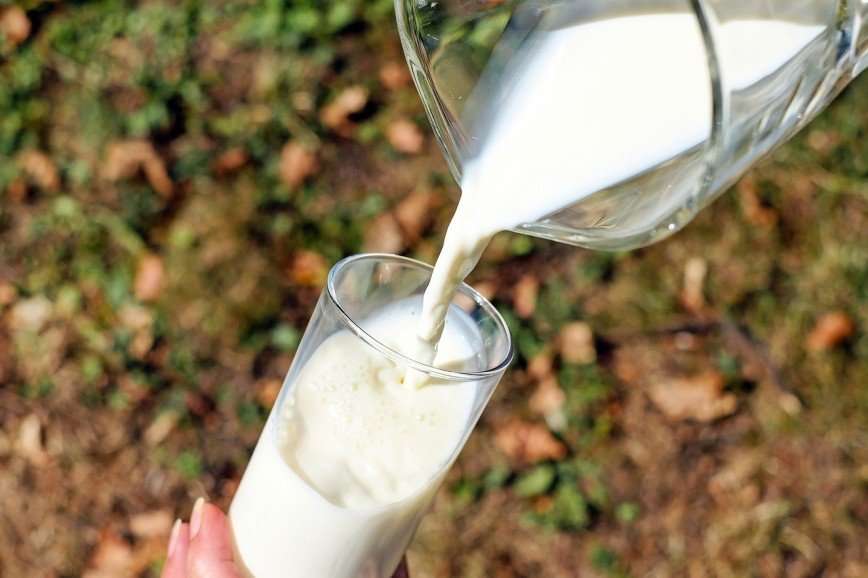 Будьте осторожны: какие проблемы таит в себе молоко