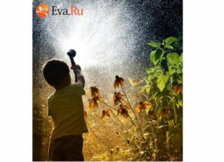 Хлопці на грядках.