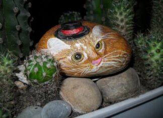 Прожектор Єви.Ру: Господиня камяних картин.