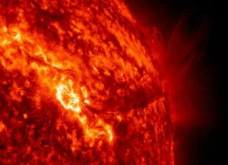 NASA показало як насправді виглядає Сонце.