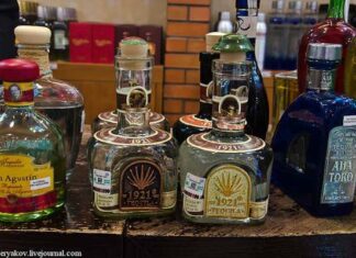 Як роблять справжню текілу.