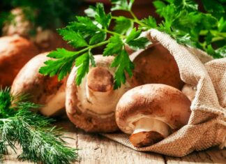 Вчені: одна порція печериць в день може запобігти діабету.