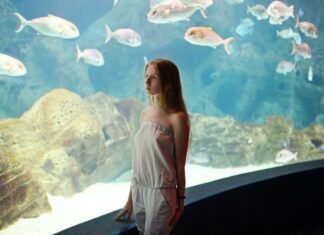 Спостереження за рибами в акваріумі корисно для здоровя.