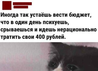 Найсмішніші свіжі анекдоти