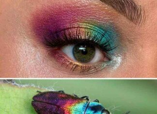 16 фото від візажиста, який втілює в макіяжі очей дивовижну красу комах