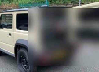 Suzuki jimny: нове амплуа відомого автомобіля