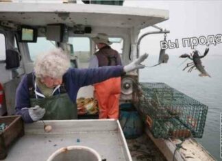 Прикольні, смішні картинки: відносини, діти, котики