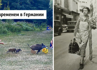 40 фотографій, які можна було зробити тільки в європі