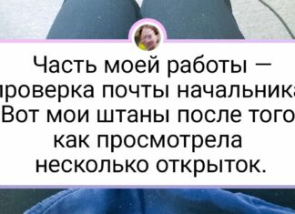 20 + фото, які оцінять ті, хто ходить на роботу і вже нехило так запарився