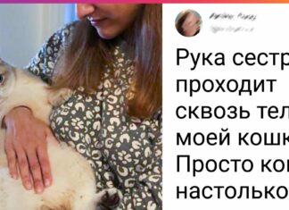 18 фото, які кого завгодно введуть в ступор
