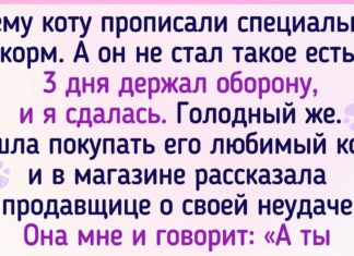 19 господарів, які періодично вигукують: “та ось же твоя їжа, волохата вредина!»