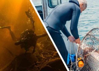 Вчені показали істоту, яка живе на глибині 6000 метрів під водою