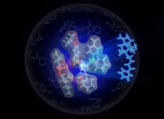 Био-инспирированный катализатор: Магия эфиров в стиле ферментов