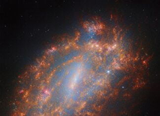 Космический Танец NGC 1559: Джеймс Уэбб Раскрывает Тайны Одинокой Галактики