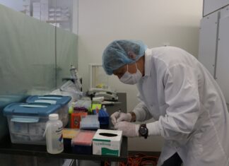 Дослідники кількісно оцінюють швидкість найважливішого еволюційного процесу в океані