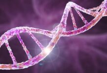 Odkrycie genetyki fibromialgii rzuca nowe światło na jej przyczyny