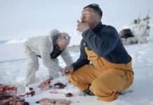 Люди все ще розвиваються: як культура та довкілля формують наші гени