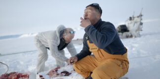 Люди все ще розвиваються: як культура та довкілля формують наші гени