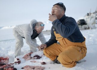 Люди все ще розвиваються: як культура та довкілля формують наші гени
