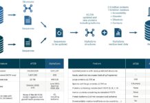 Зберігайте імпульс: нова база даних оновлює структури білка в режимі реального часу