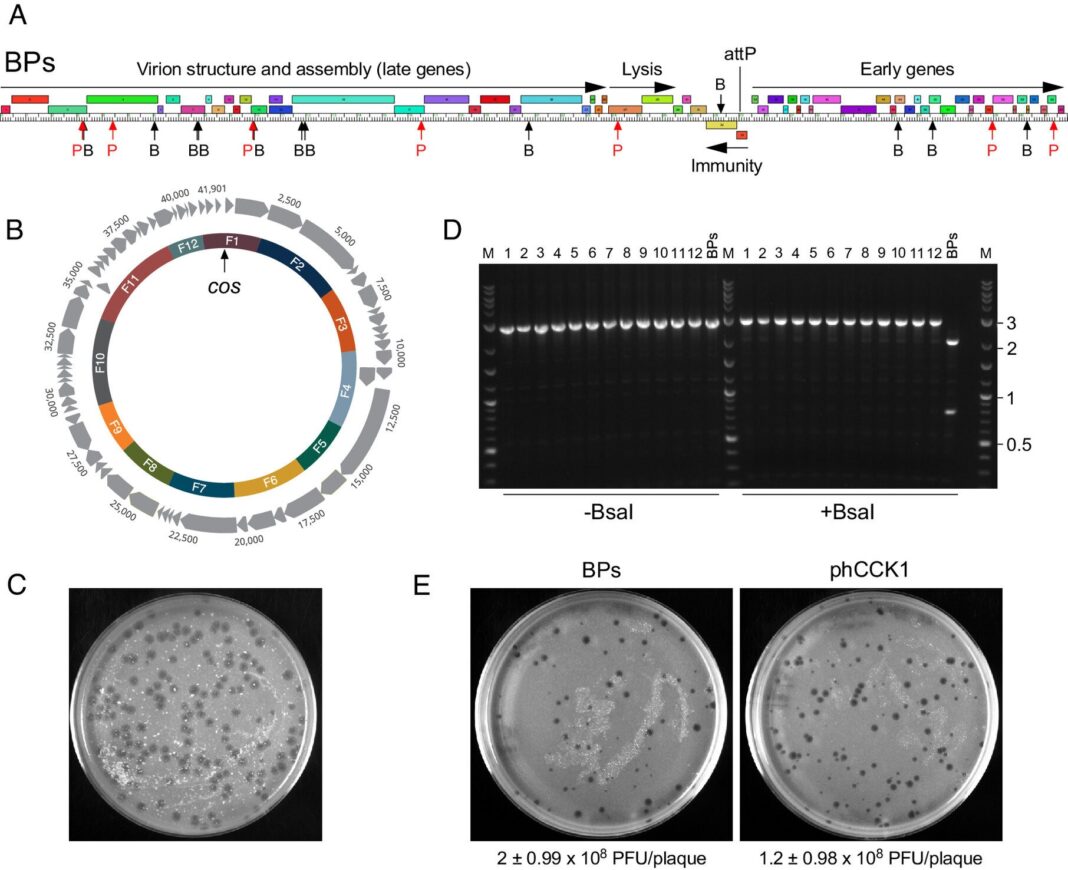 a511dc8e-3c11-44b2-b322-53322dfdb20f