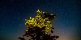 Місцеві жителі борються за збереження темного неба серед нової золотої лихоманки на Верхньому півострові Мічигану