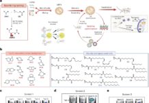 Нові наночастинки можуть значно знизити вартість і дозування мРНК-вакцин