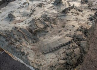 5000-річний скелет собаки та кинджал, поховані разом у шведському болоті, натякають на таємничий ритуал кам’яного віку