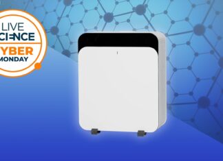 Blueair Classic Pro CP7i: знижка Чорної п’ятниці на очищувач повітря, що знищує мікроби