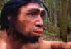 Скам’янілість віком 1,5 мільйона років розкриває нові подробиці про Homo erectus