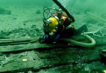 Найбільший середньовічний гвинт, знайдений біля узбережжя Данії