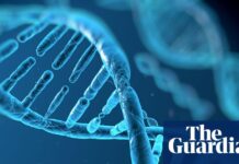 Прорив ШІ: альфагеном DeepMind передбачає генетичні причини захворювань