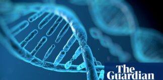 Прорив ШІ: альфагеном DeepMind передбачає генетичні причини захворювань