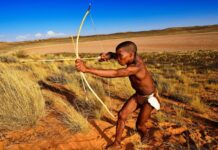 Стародавні мисливці використовували отруєні стріли 60 000 років тому: нові докази з Південної Африки