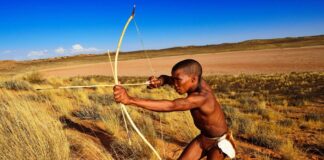 Pemburu Kuno Menggunakan Panah Racun 60.000 Tahun Lalu: Bukti Baru dari Afrika Selatan