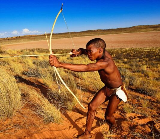 Стародавні мисливці використовували отруєні стріли 60 000 років тому: нові докази з Південної Африки