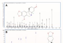 У Південній Африці знайшли отруєні наконечники стріл віком 60 000 років