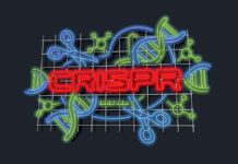 CRISPR: переписування кодексу життя