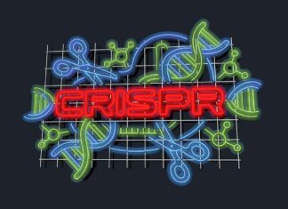 CRISPR: переписування кодексу життя