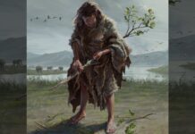 430 000-річних дерев’яних інструментів переосмислюють перші людські технології