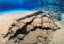 The Hidden Life Beneath Earth: Microbes Waiting Millions of Years to Evolve