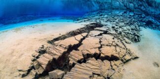 La vie cachée sous Terre : les microbes attendent des millions d’années pour évoluer