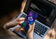 KI-Halluzinationen: Wenn Maschinen „sehen“, was nicht da ist