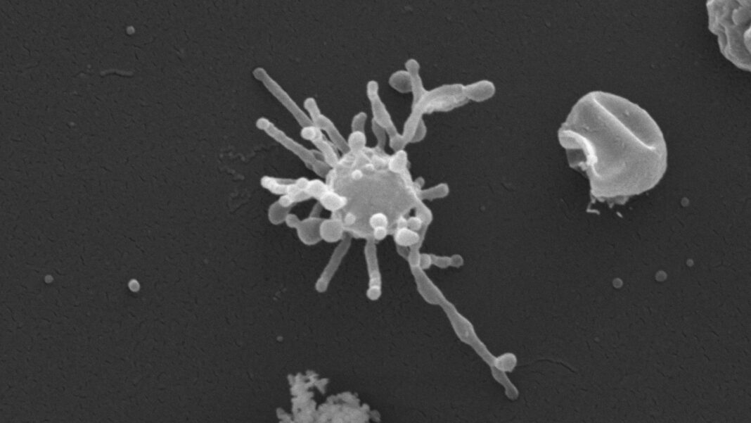 9f2b3e11-a4c5-425b-9256-f487a87a2a6f