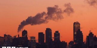 Штати США подають до суду на адміністрацію Трампа через відмову від висновку про шкоду парникових газів