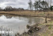 Нафтовий гігант Perenco змушений заплатити 6 мільйонів фунтів після розливу в гавані Пул