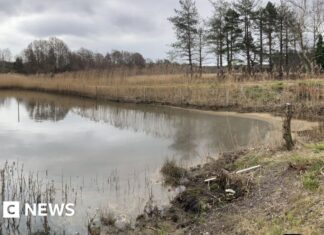 Нафтовий гігант Perenco змушений заплатити 6 мільйонів фунтів після розливу в гавані Пул